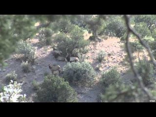 Outdoor Edge Love of the Hunt  - New Mexico Part 1