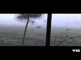 Waiting for the Fall - The Leftovers