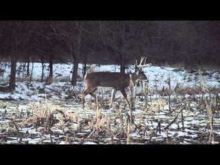 Heartland Bowhunter TV - Scott White