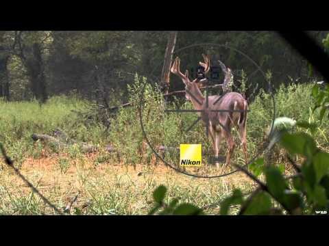 The Zone - Kentucky Whitetail Hunt