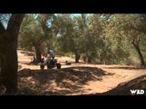 Dirt Trax Television - Beau Baron