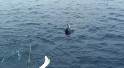 Marlin University Guatemala 2011