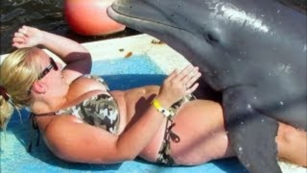 An Animal Ruined My Vacation: Dirty Dolphin
