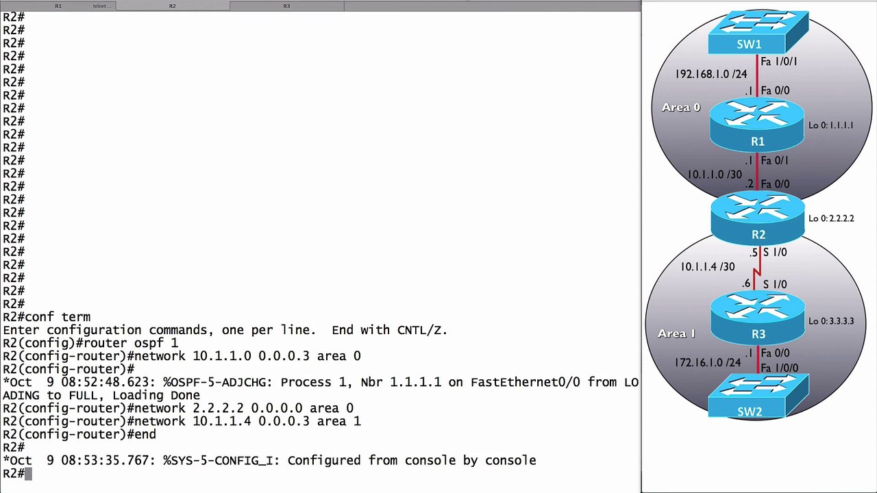 308.Multi-Area Configuration Example