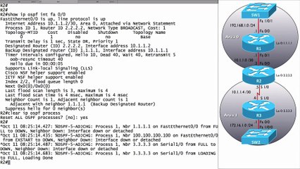 309.Influencing Designated Router Selection