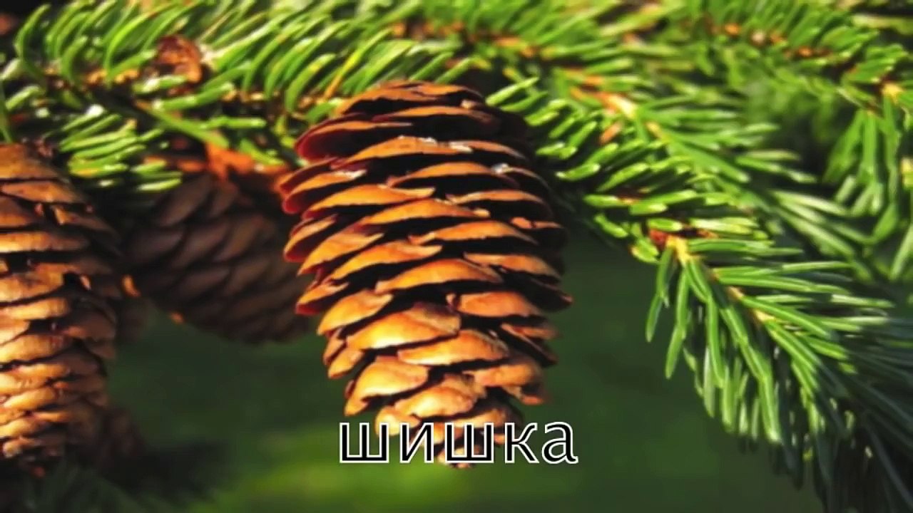 100 слов для детей 1 3 года! Развивающие мульт...