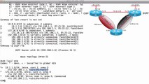 301.Checking the IP Routing Table