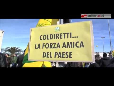 Tg AntennaSud - Blitz di Goletta Gialla di Coldiretti al porto di Bari