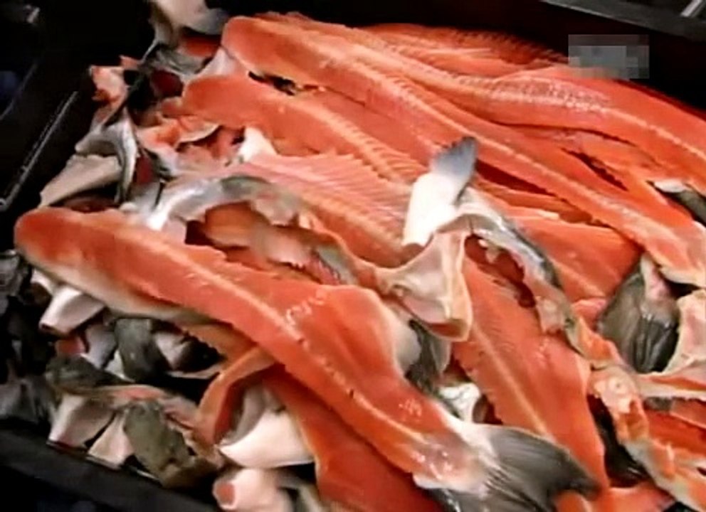 Как это сделано - Копченый лосось