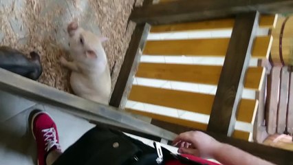 Слава Україні