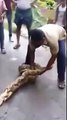 HUGE SNAKE IN INDIA | LARGEST PYTHON SNAKE FOUND IN KERALA INDIA