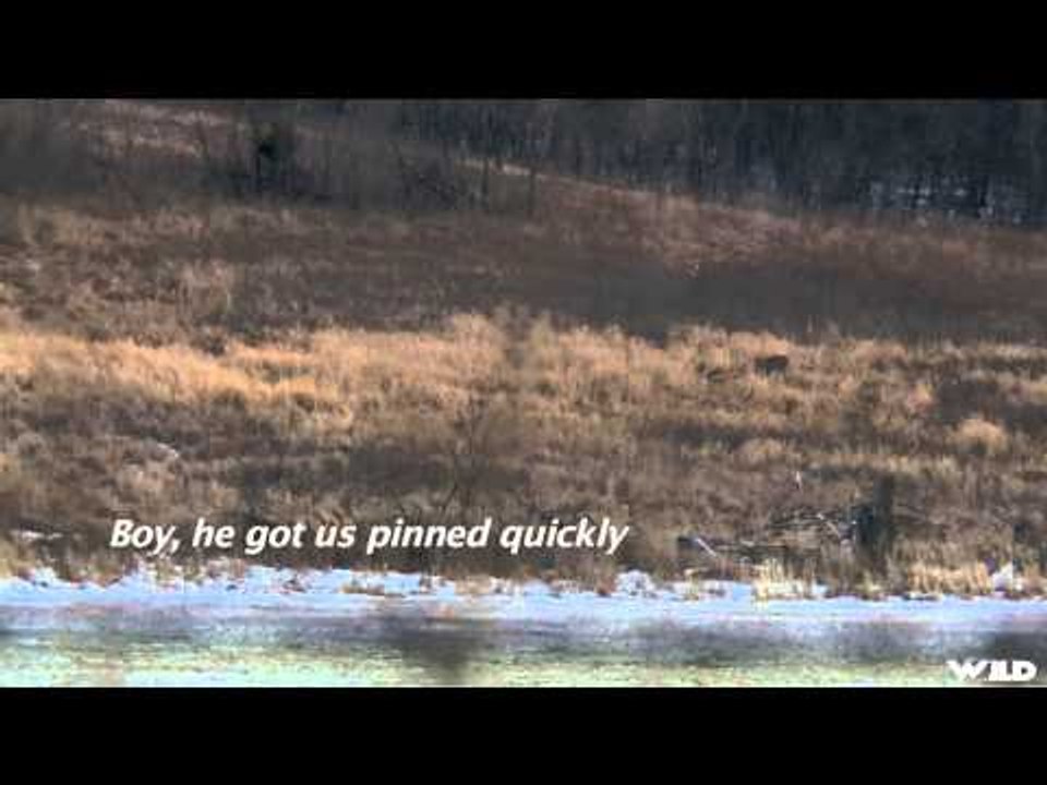 The Zone - Moose and Misses