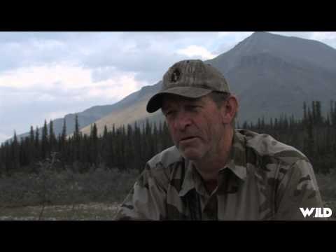 Long Range Pursuit - Northwest Territories Dall Sheep at 630 Yards