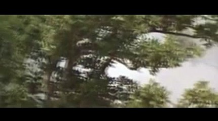 금발딜러넷び＼＼【KOP77。COM】＼＼げ스보벳 주소바카라시스템베팅