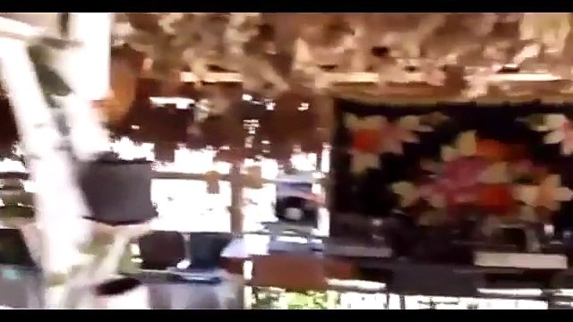 Terrifying footage shows man stuck up 30ft tree while being chased by angry bear (Latest Sport)