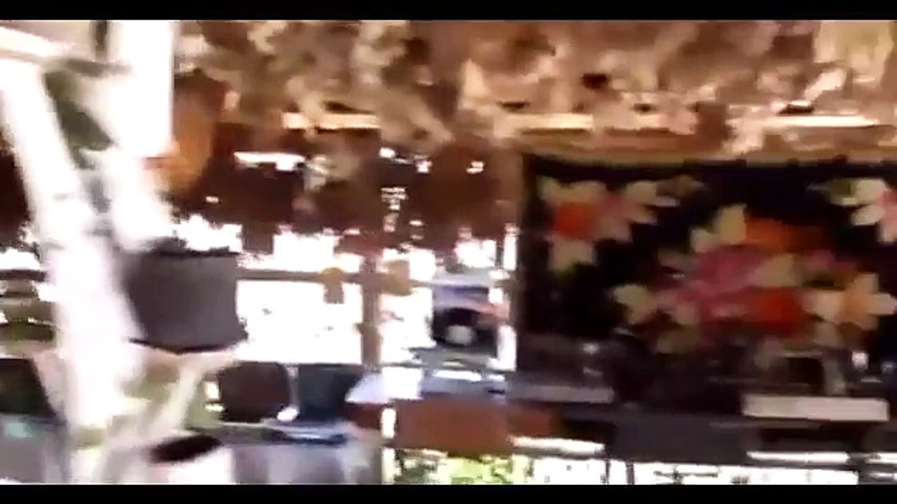 Terrifying footage shows man stuck up 30ft tree while being chased by angry bear (Latest Sport)