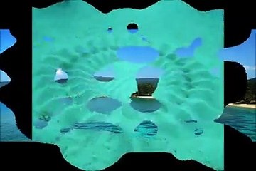Paintings portray male puffer fish to attract females!