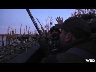 The Fowl Life - Lights Camera Main Street StuttgartAction