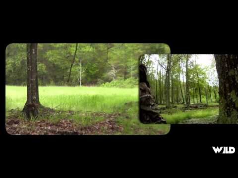 Addicted To The Outdoors - Country Goes Huntin