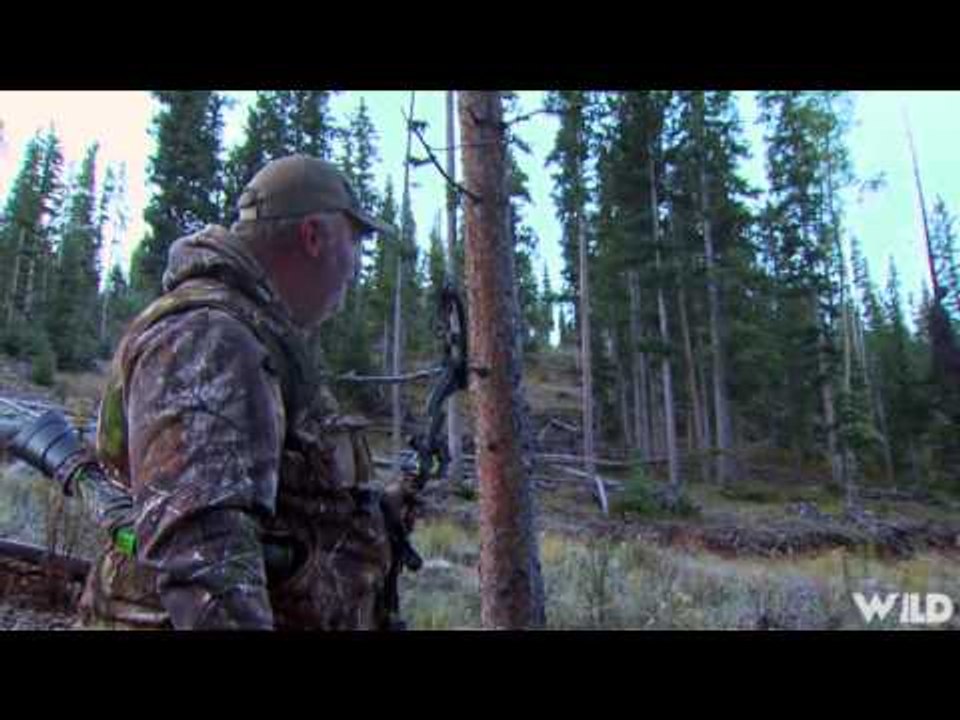 Primos  The Truth About Hunting - Elk in Colorado
