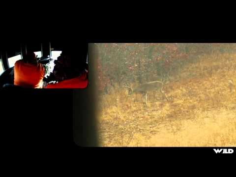 Addicted To The Outdoors - Kentucky Big Buck Properties