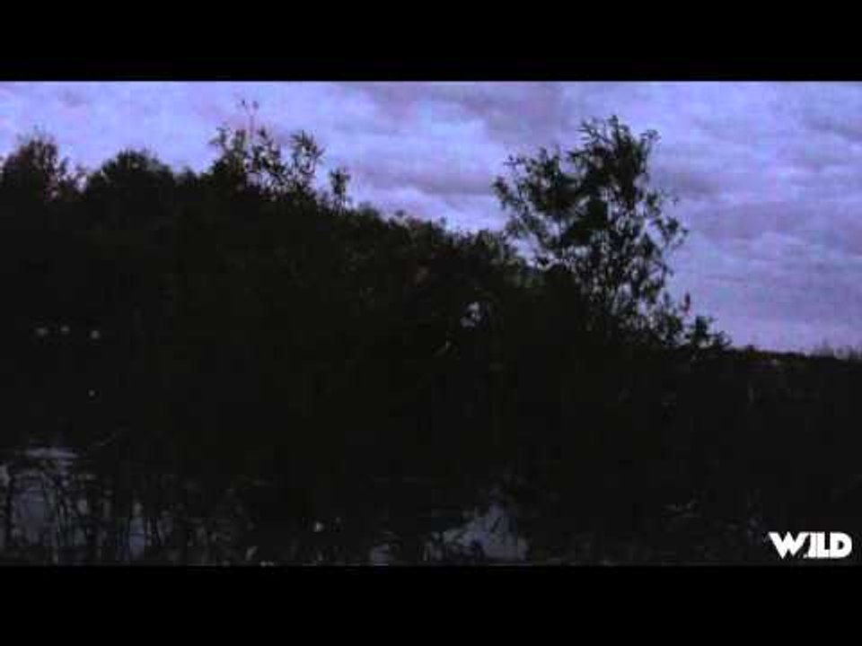 MOJOs Migration - Payday On The Potholes
