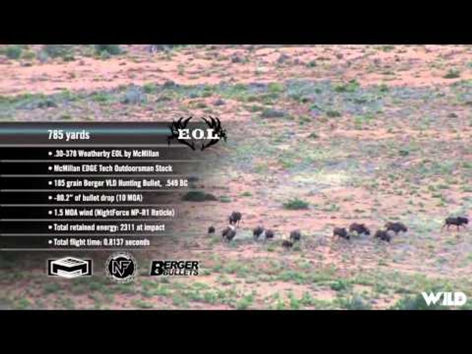 Extreme Outer Limits TV - Long Ranch Black and White Wildebeest and Gemsbok in South Africa