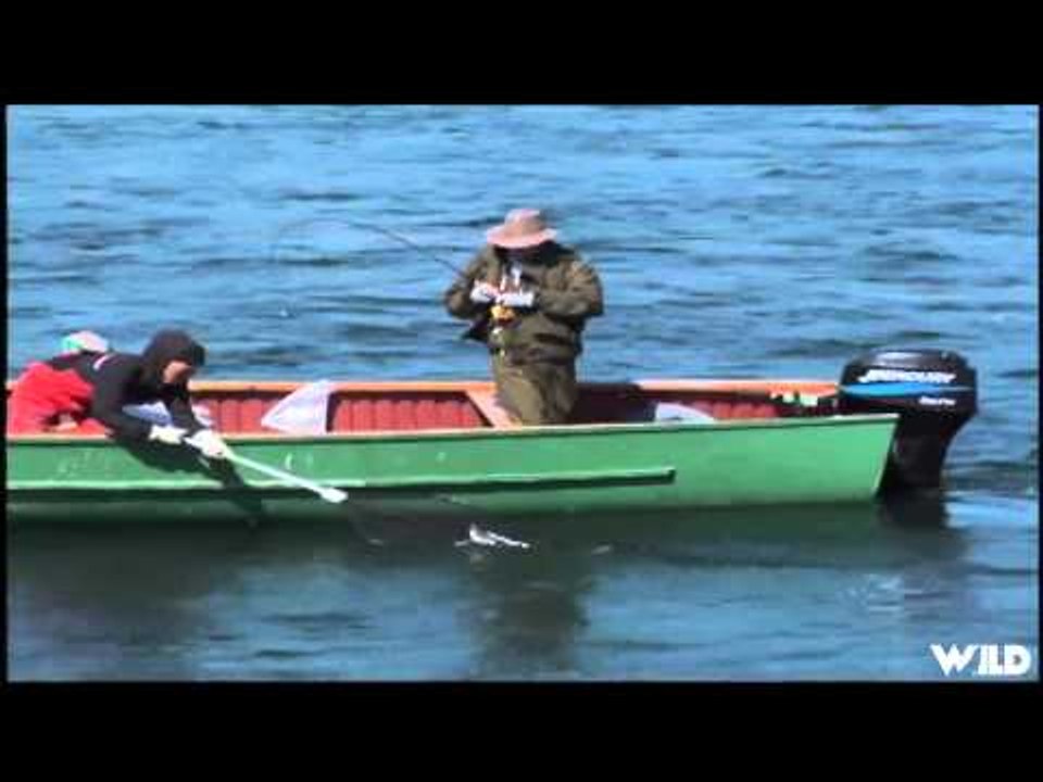 Adventures North - Part 1 of Payne Bay Arctic Char