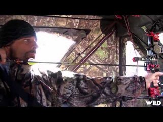 The Hitmen - Florida Swamp Hogs