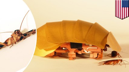 Researchers develop cockroach-like robot prototype that could save lives