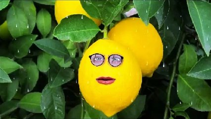 Wazir Theme Song Amitabh Bachchan, Farhan Akhtar 2015 Review By Lemon Khan