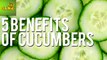 Top 5 Benefits Of Cucumbers | Care TV