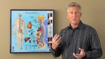 Family Chiropractor in San Jose Speaks On Neck Pain and Subluxation