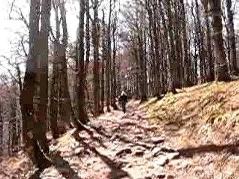 Dunkerquois en alsace chez juju et zaza