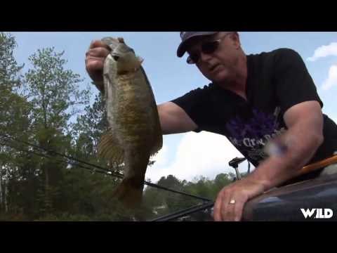 Fishing with Joe Bucher - Trip Saver Baits