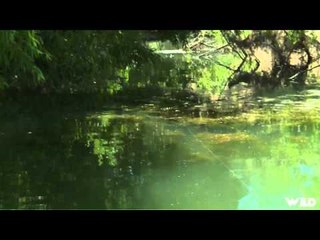 Bass West USA TV - Tejon Ranch California