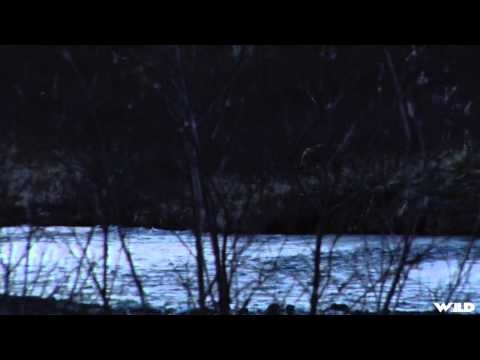 Noslers Magnum TV - Coastal Kings