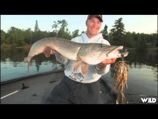 Adventures North - The HowTo Aspects of Fishing