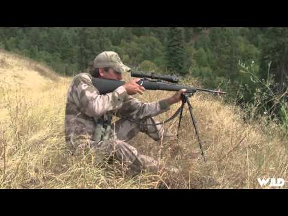 Predator Quest  - Idaho Bear Hunt