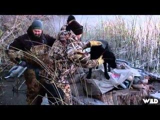 The Fowl Life - The Banks of The Snake River