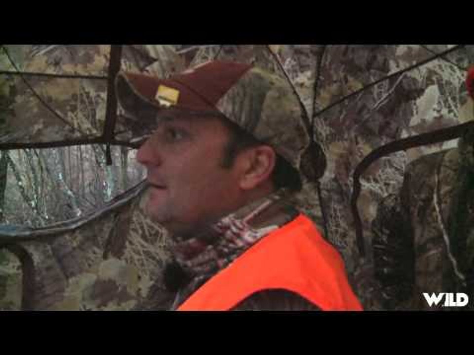 Drop Zone - Starkey Hollow Whitetails