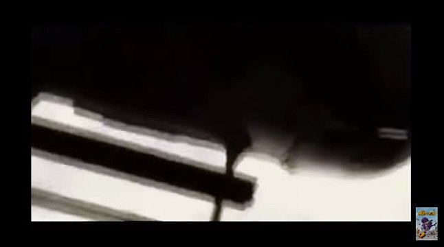 실전바카라↑KOP77,COM♠바카라그림＠양방배팅계산기