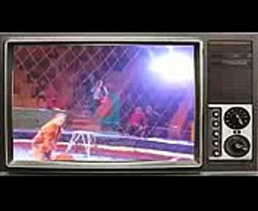 Terrorist lions. Lion attacks and mauls trainer during circus show in Ukraine