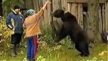 Anazing video - Never ever trust a bear animals - attaks bear - OMG VIDEO