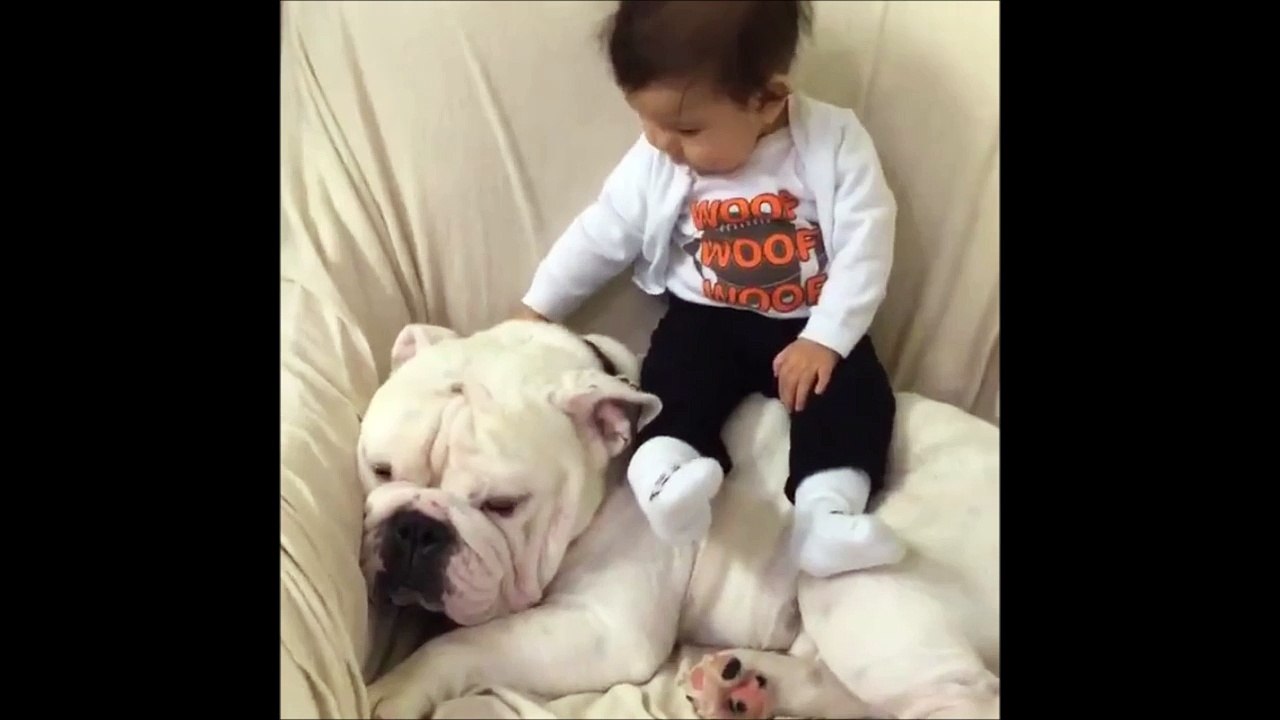 Un bébé passe un bon moment avec son pote le chien