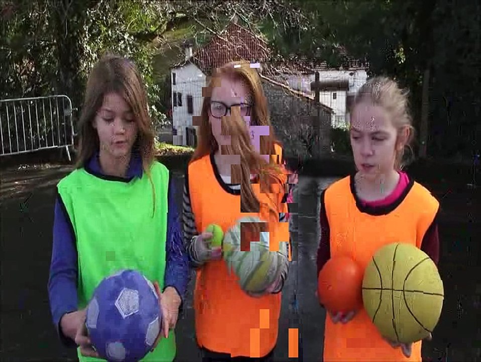 Les CM de l'Ecole Publique de Came jouent au KIN BALL