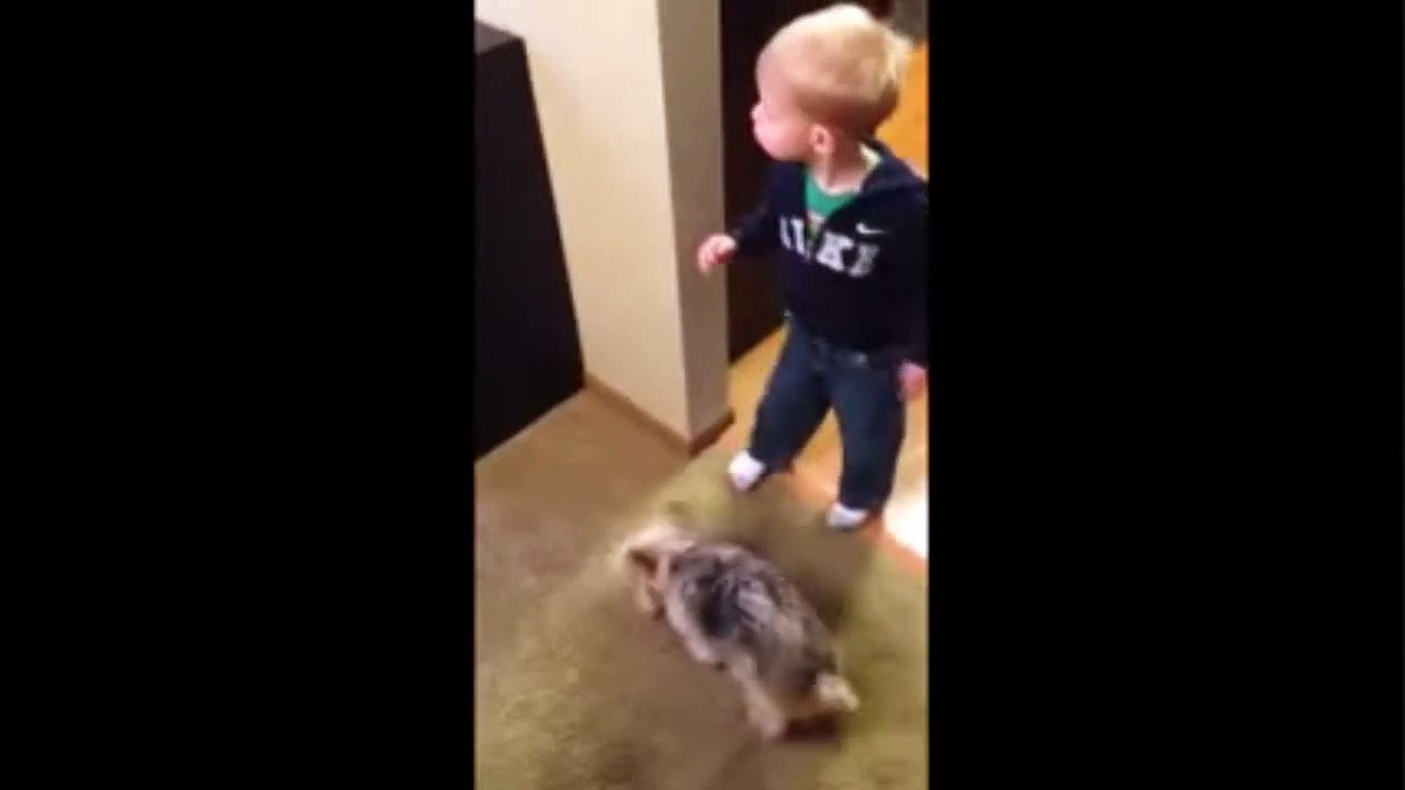 A Boy and a Puppy, guess who stand to order ! ))