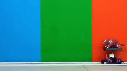 Buzz : Un robot caméléon capable de changer de couleur en une fraction de seconde !