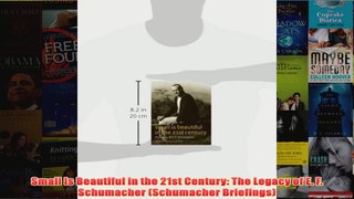 Download PDF  Small Is Beautiful in the 21st Century The Legacy of E F Schumacher Schumacher FULL FREE