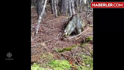 İnanılmaz Görüntü! Toprak Nefes Alıp Veriyor